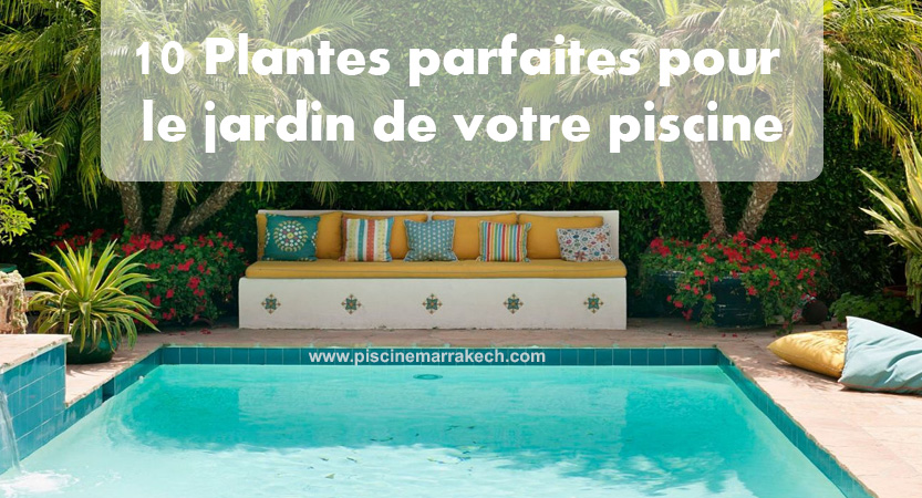 Aménagement plantes autour piscine à Marrakech