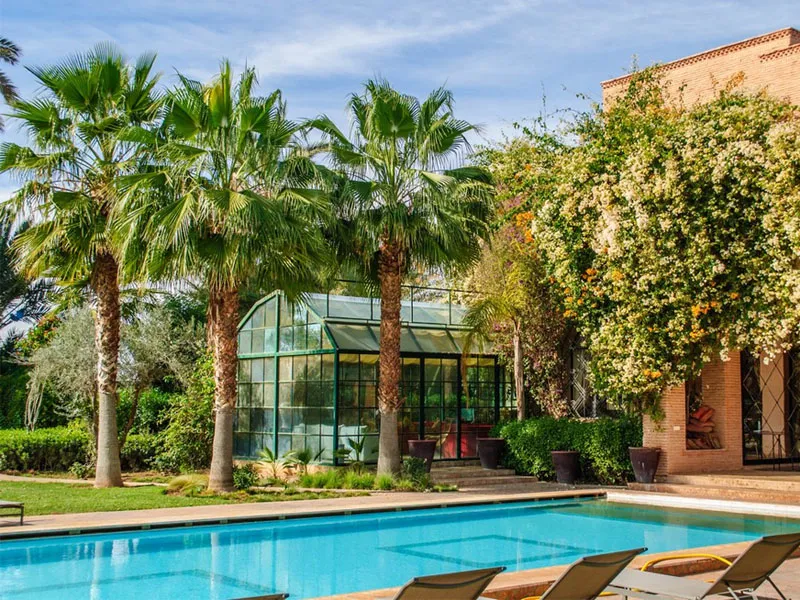 Palmiers autour piscine villa a Marrakech